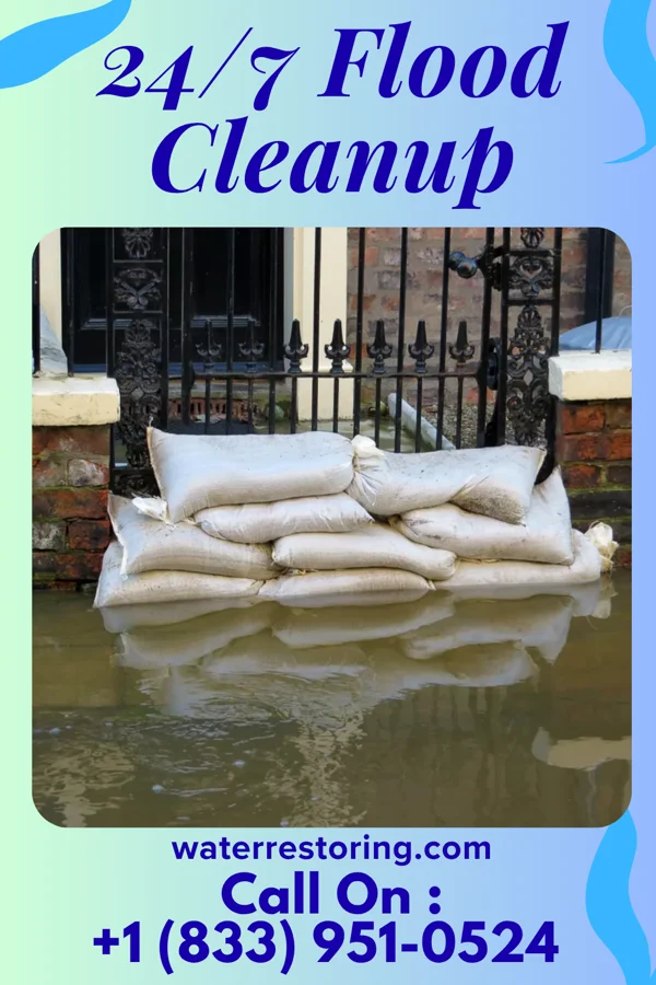 24/7 Flood Cleanup in Frost, MN