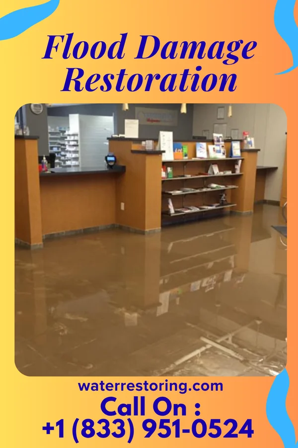 Flood Damage Restoration in Frost, MN