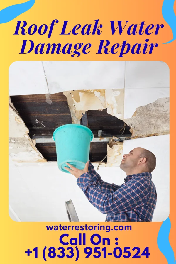 Roof Leak Water Damage Repair in Frost, MN