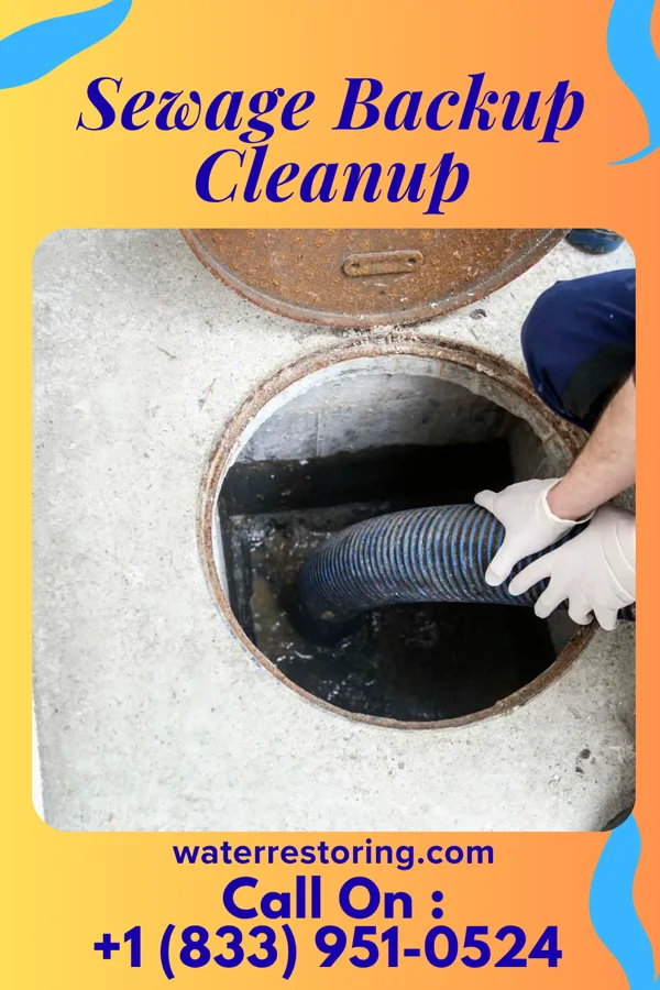 Sewage Backup Cleanup in Frost, MN