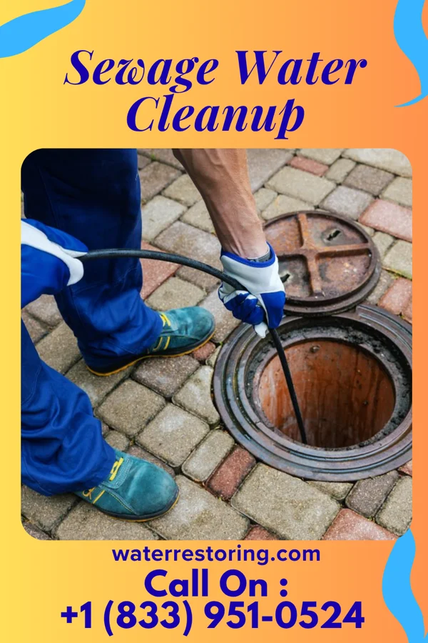 Sewage Water Cleanup in Frost, MN